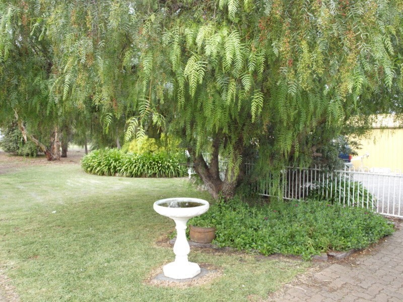 22 Washington Street, Goolwa North SA 5214