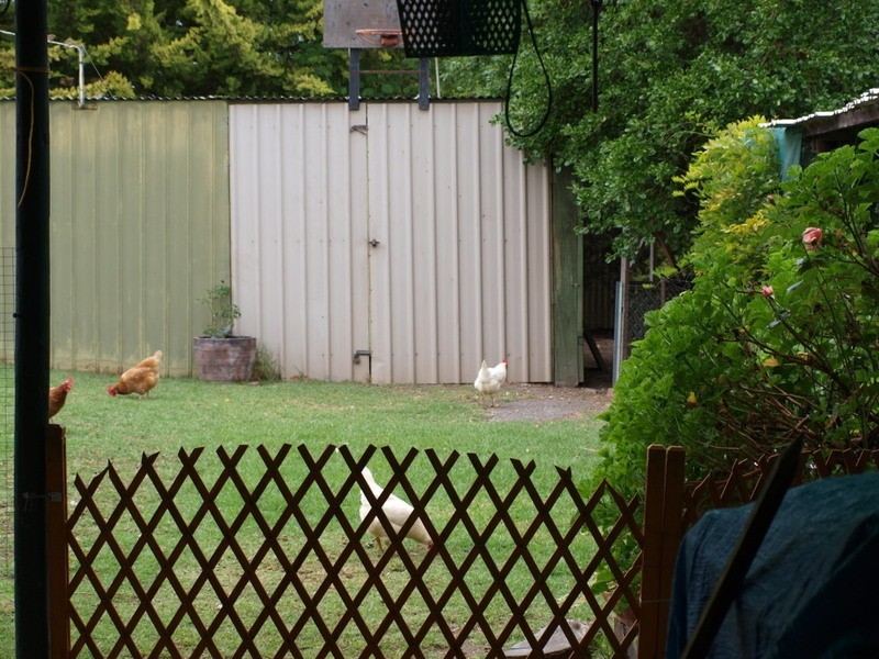 4 Plummer Street, Goolwa SA 5214