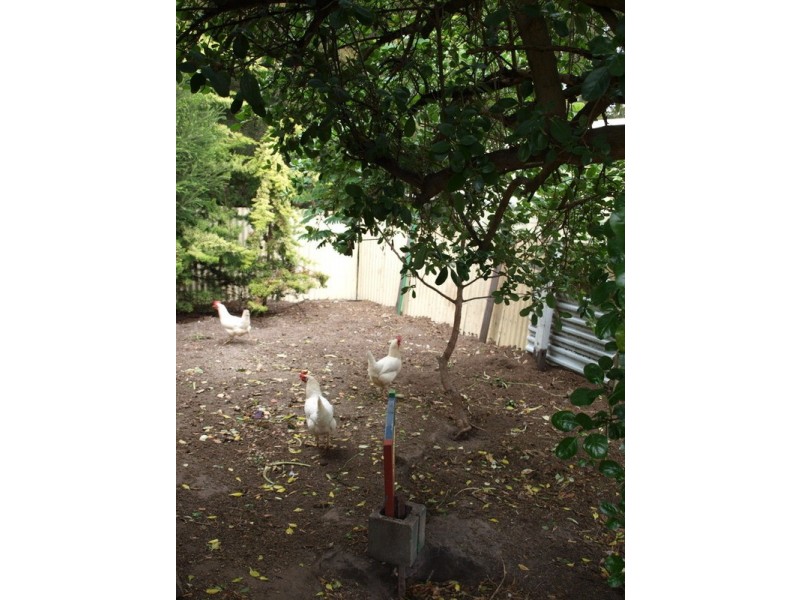 4 Plummer Street, Goolwa SA 5214