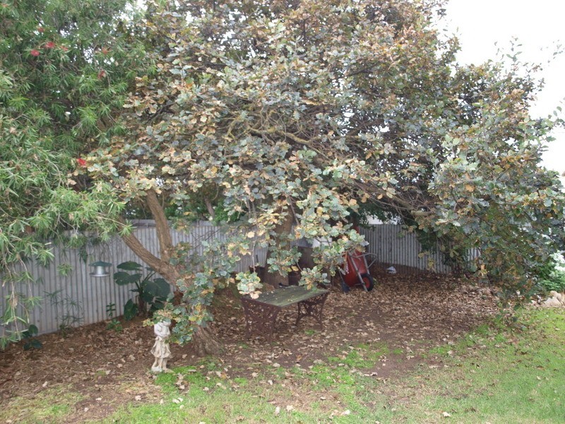 4 Heggaton Road, Goolwa SA 5214