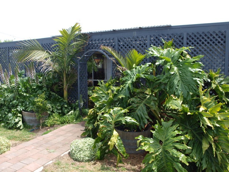 3 Godfrey  Street, Goolwa Beach SA 5214