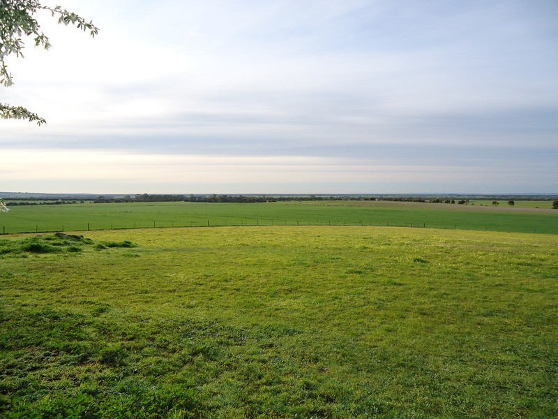 25  Brookdale  Road, Strathalbyn SA 5255