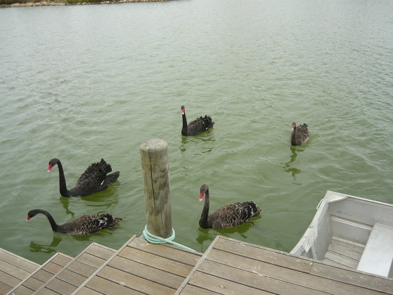 30 Britannia Parade, Hindmarsh Island SA 5214