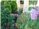27 Rogers Street, Freeling SA 5372