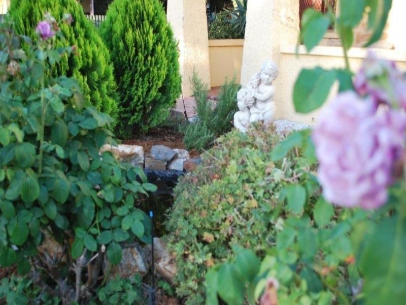 27 Rogers Street, Freeling SA 5372
