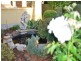 27 Rogers Street, Freeling SA 5372