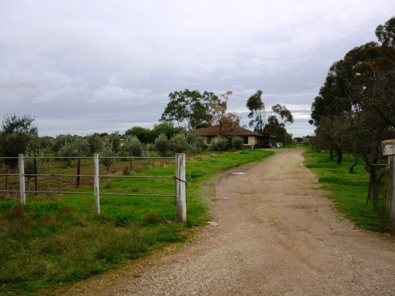 171 Dawkins Road, Lewiston SA 5501