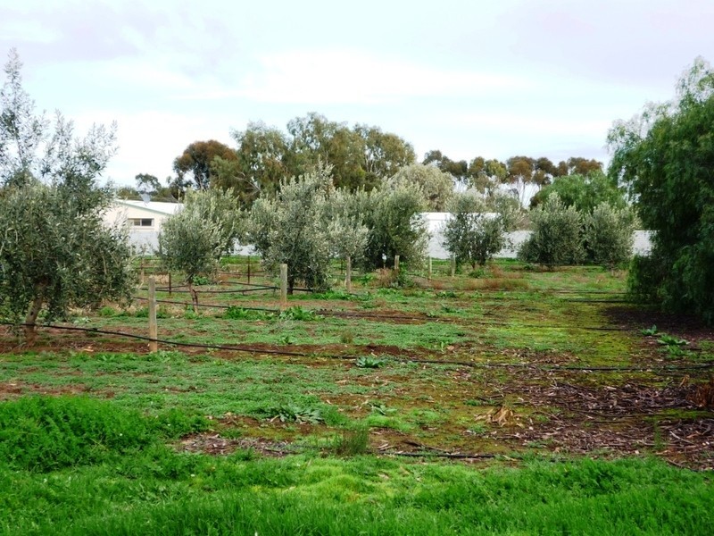 171 Dawkins Road, Lewiston SA 5501