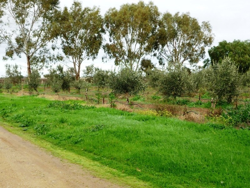 171 Dawkins Road, Lewiston SA 5501