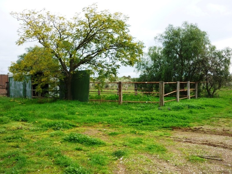 171 Dawkins Road, Lewiston SA 5501