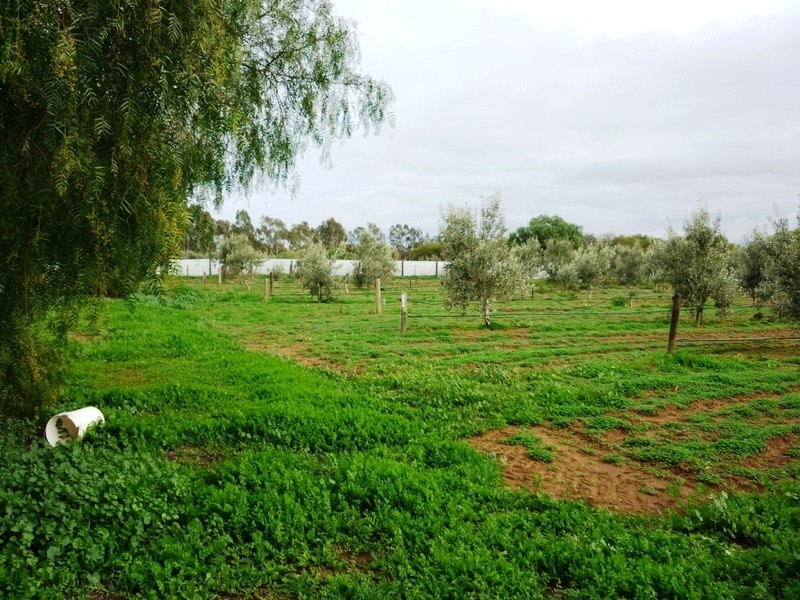 171 Dawkins Road, Lewiston SA 5501