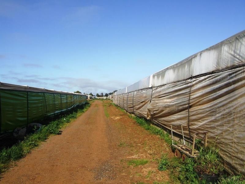Lot 4  Womma Road, Penfield SA 5121