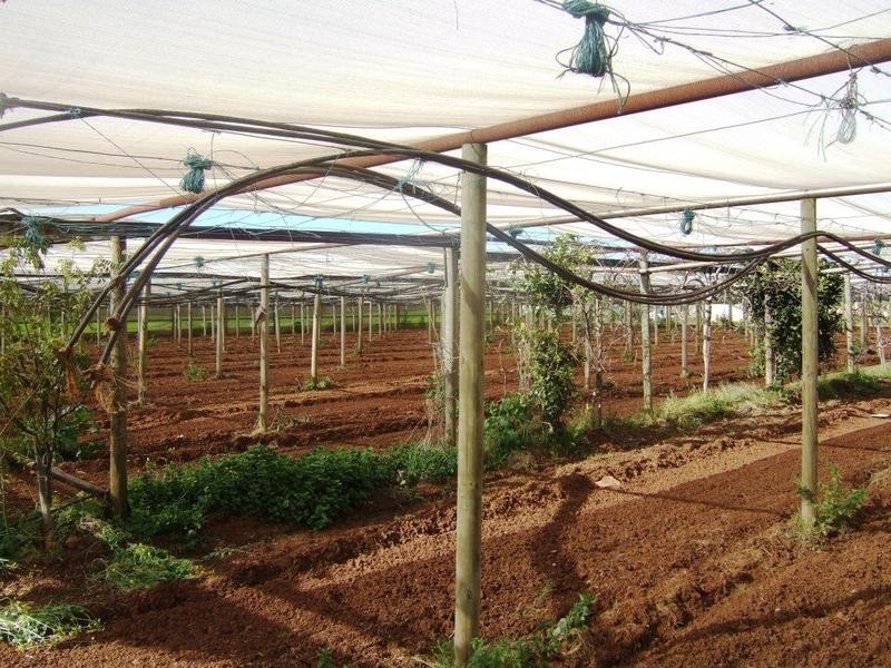 Lot 4  Womma Road, Penfield SA 5121
