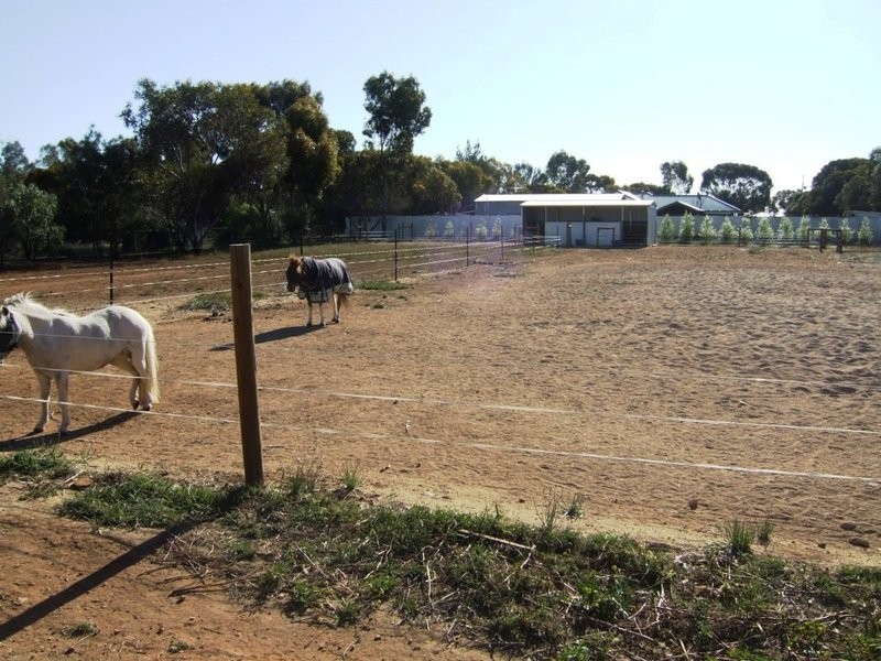 Lot 37 Hall Road, Redbanks SA 5502