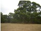 Lot 13 Needles Road, Williamstown SA 5351