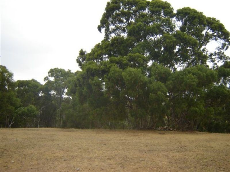 Lot 13 Needles Road, Williamstown SA 5351