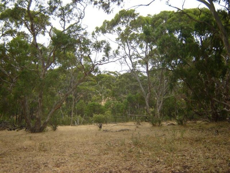 Lot 13 Needles Road, Williamstown SA 5351