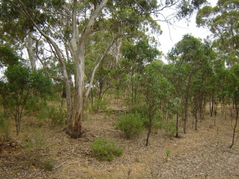 Lot 13 Needles Road, Williamstown SA 5351