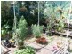 Lot 100 Light Pass Road, Tanunda SA 5352