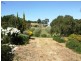 Lot 100 Light Pass Road, Tanunda SA 5352