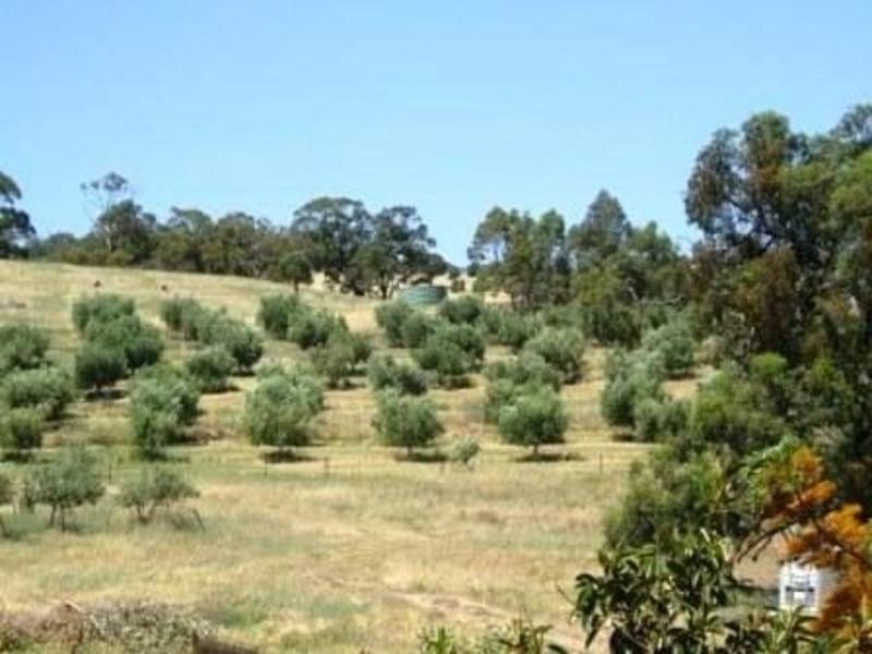 Lot 100 Light Pass Road, Tanunda SA 5352