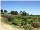 Lot 100 Light Pass Road, Tanunda SA 5352