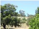 Lot 100 Light Pass Road, Tanunda SA 5352