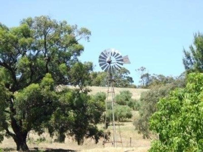 Lot 100 Light Pass Road, Tanunda SA 5352