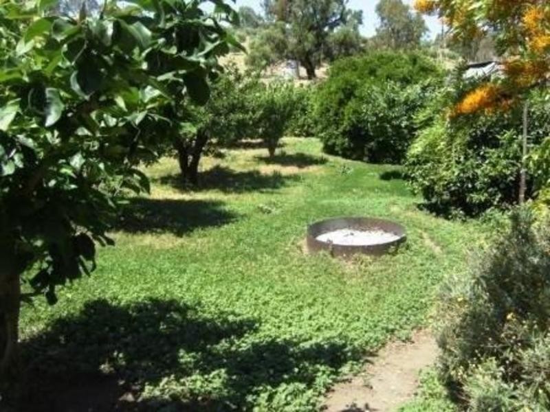 Lot 100 Light Pass Road, Tanunda SA 5352