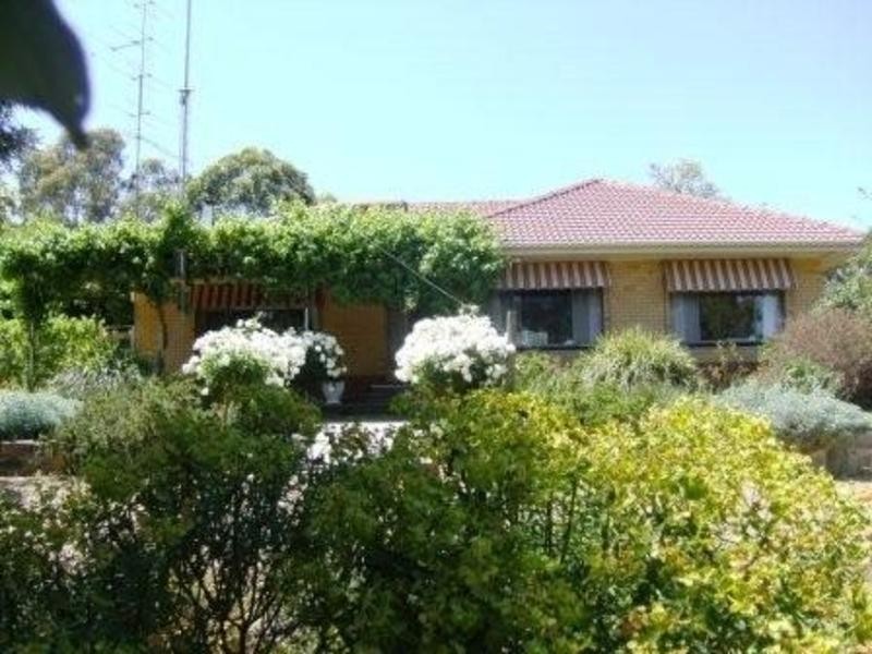 Lot 100 Light Pass Road, Tanunda SA 5352