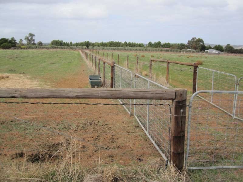 Lot 11 Pearson Street, Hillier SA 5116