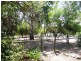 Lot 8 Williamstown Road, Cockatoo Valley SA 5351