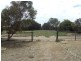33 Williams Road, Two Wells SA 5501