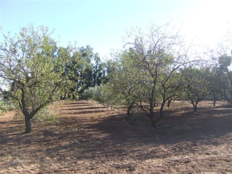 139 Dawkins Road, Lewiston SA 5501