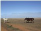 Lot 11 Thompson Beach Road, Dublin SA 5501