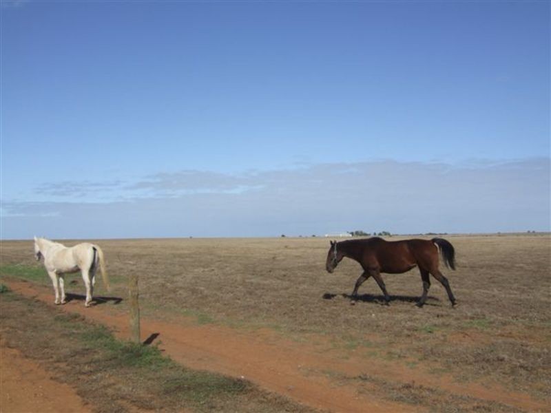 Lot 11 Thompson Beach Road, Dublin SA 5501