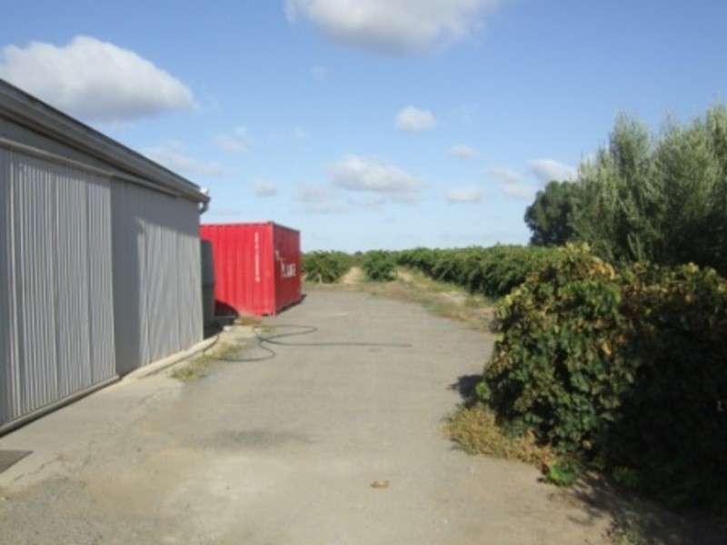 37 Pederick Road, Lewiston SA 5501