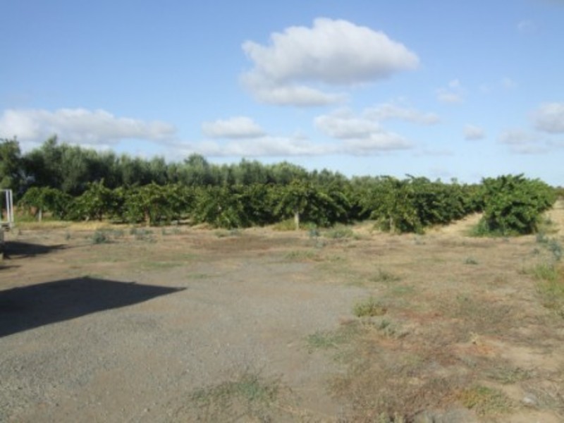 37 Pederick Road, Lewiston SA 5501