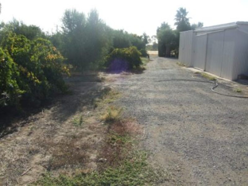 37 Pederick Road, Lewiston SA 5501