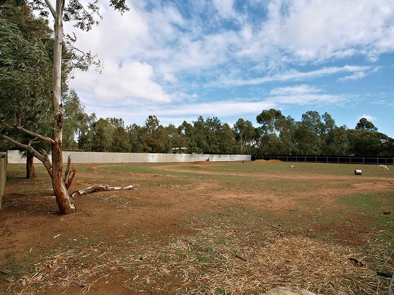 1 Fletcher Road, Lewiston SA 5501