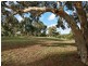 Lot 45 Balmoral Road, Cockatoo Valley SA 5351