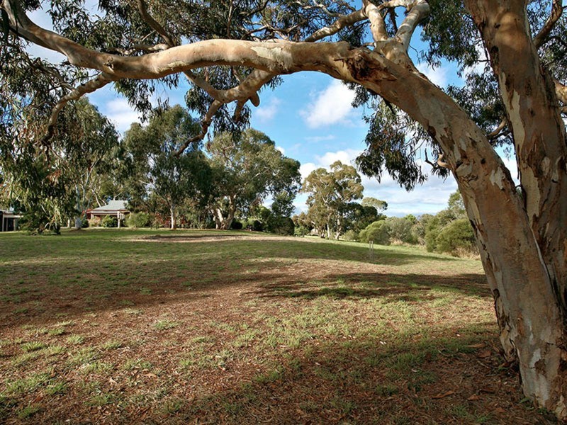 Lot 45 Balmoral Road, Cockatoo Valley SA 5351