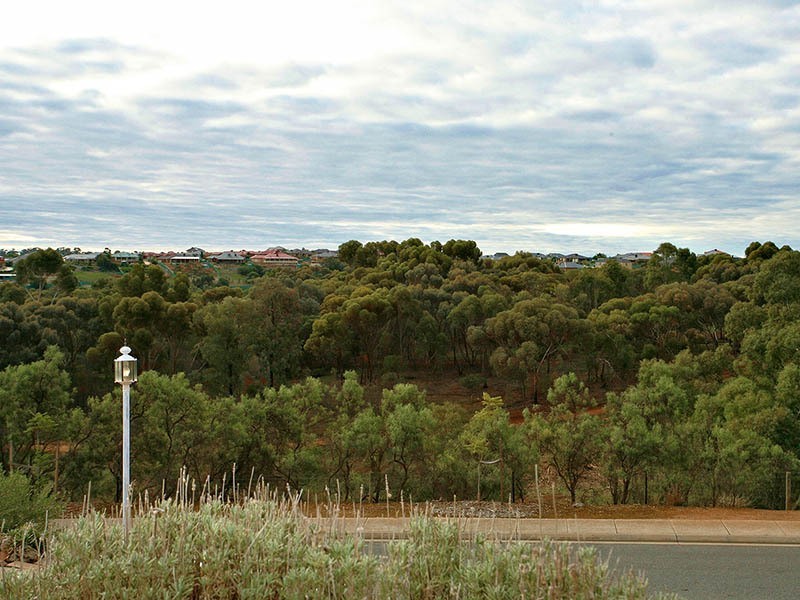 20 McGahan Crescent, Gawler East SA 5118