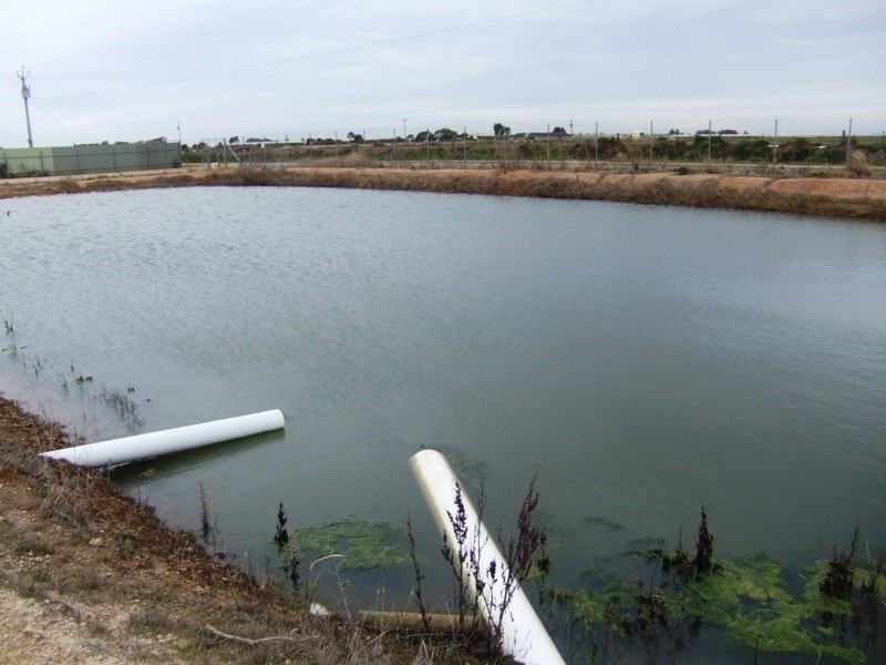 Lot 212 Tozer Road, Buckland Park SA 5120