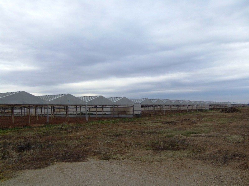 Lot 212 Tozer Road, Buckland Park SA 5120