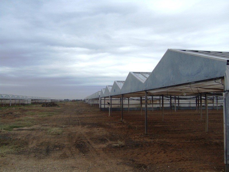 Lot 212 Tozer Road, Buckland Park SA 5120