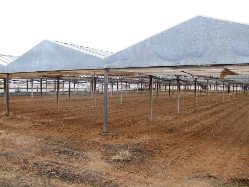 Lot 212 Tozer Road, Buckland Park SA 5120