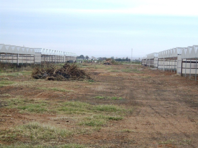 Lot 212 Tozer Road, Buckland Park SA 5120