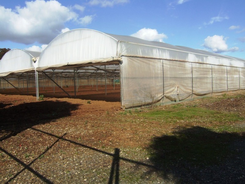 Lot 302 Womma Road, Penfield SA 5121