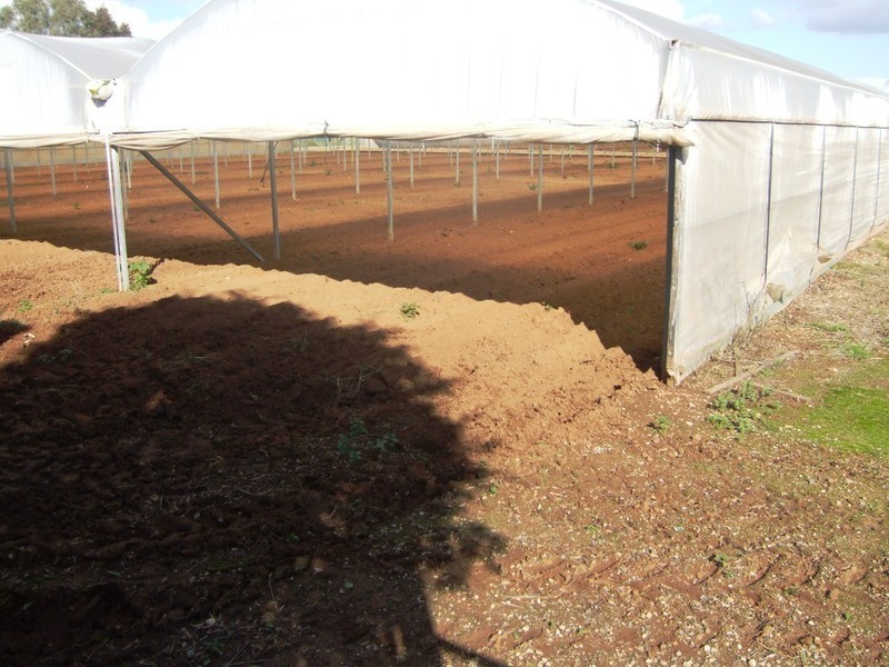 Lot 302 Womma Road, Penfield SA 5121